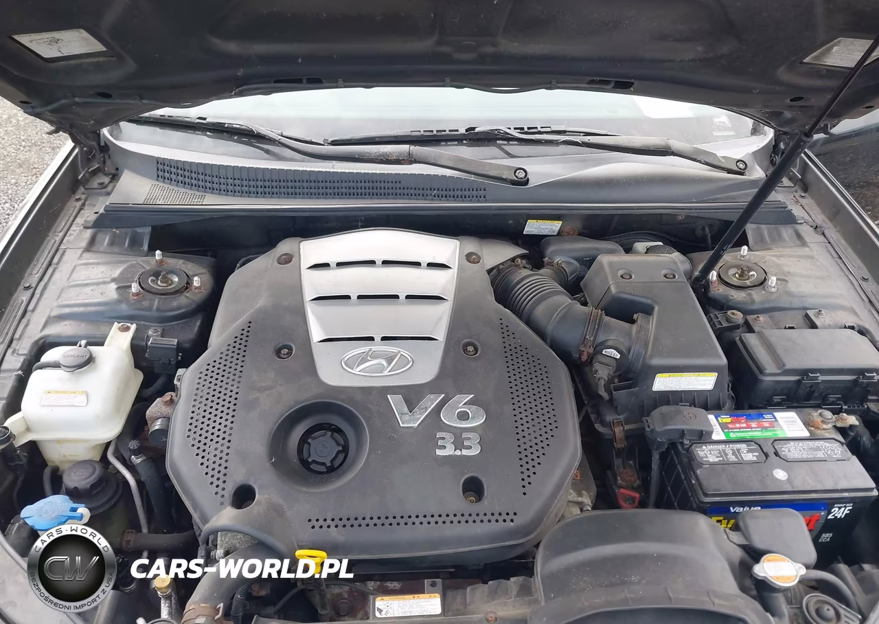 2007 Hyundai Sonata Limited-Se V6 VIN:5NPEU46F37H188054 - 10