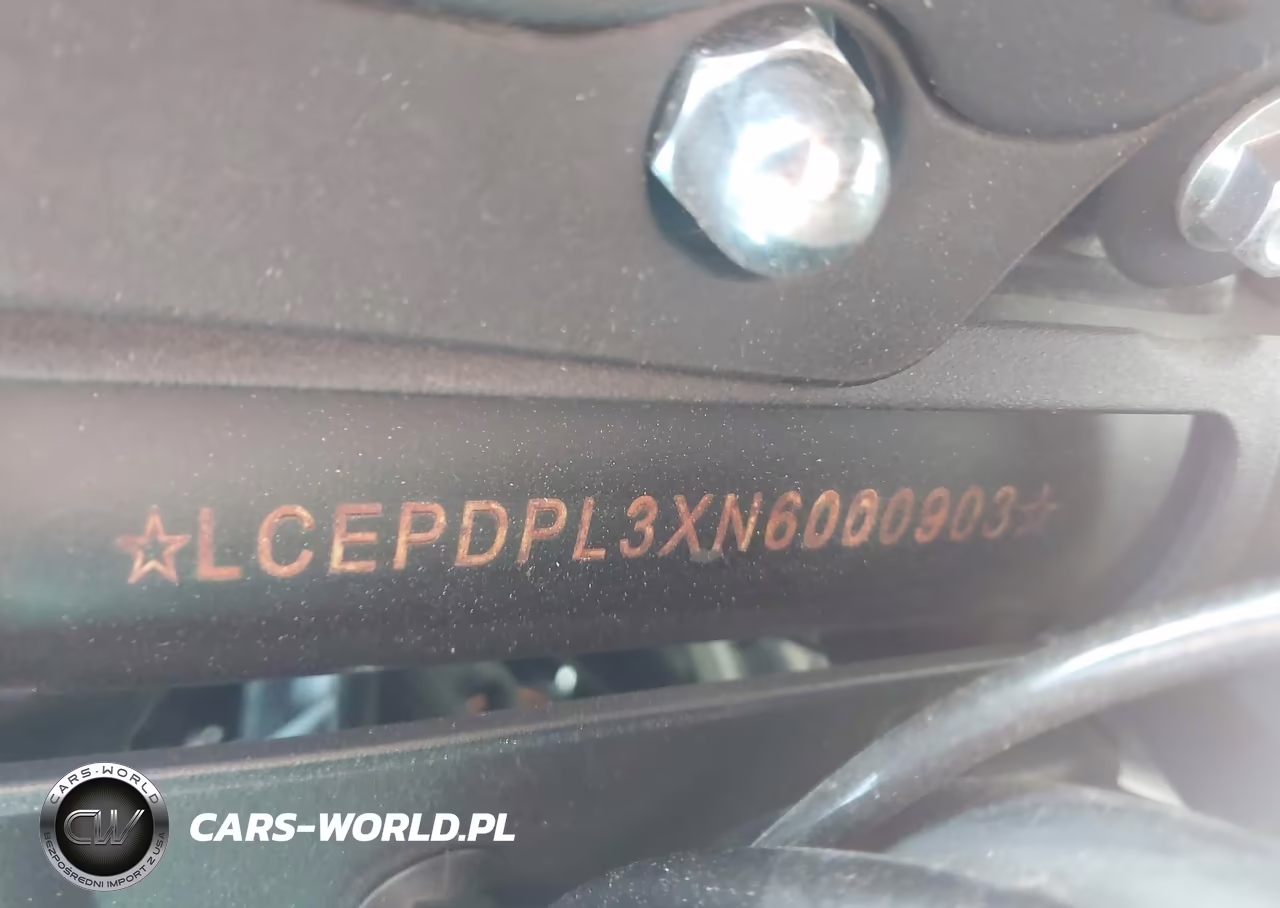 2022 Cf Moto 300Ss VIN:LCEPDPL3XN6000903 - 10