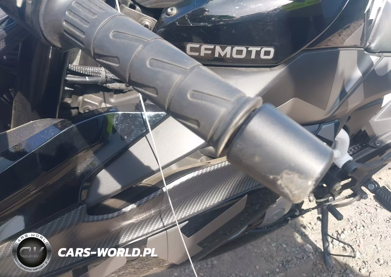 2022 Cf Moto 300Ss VIN:LCEPDPL3XN6000903 - 14