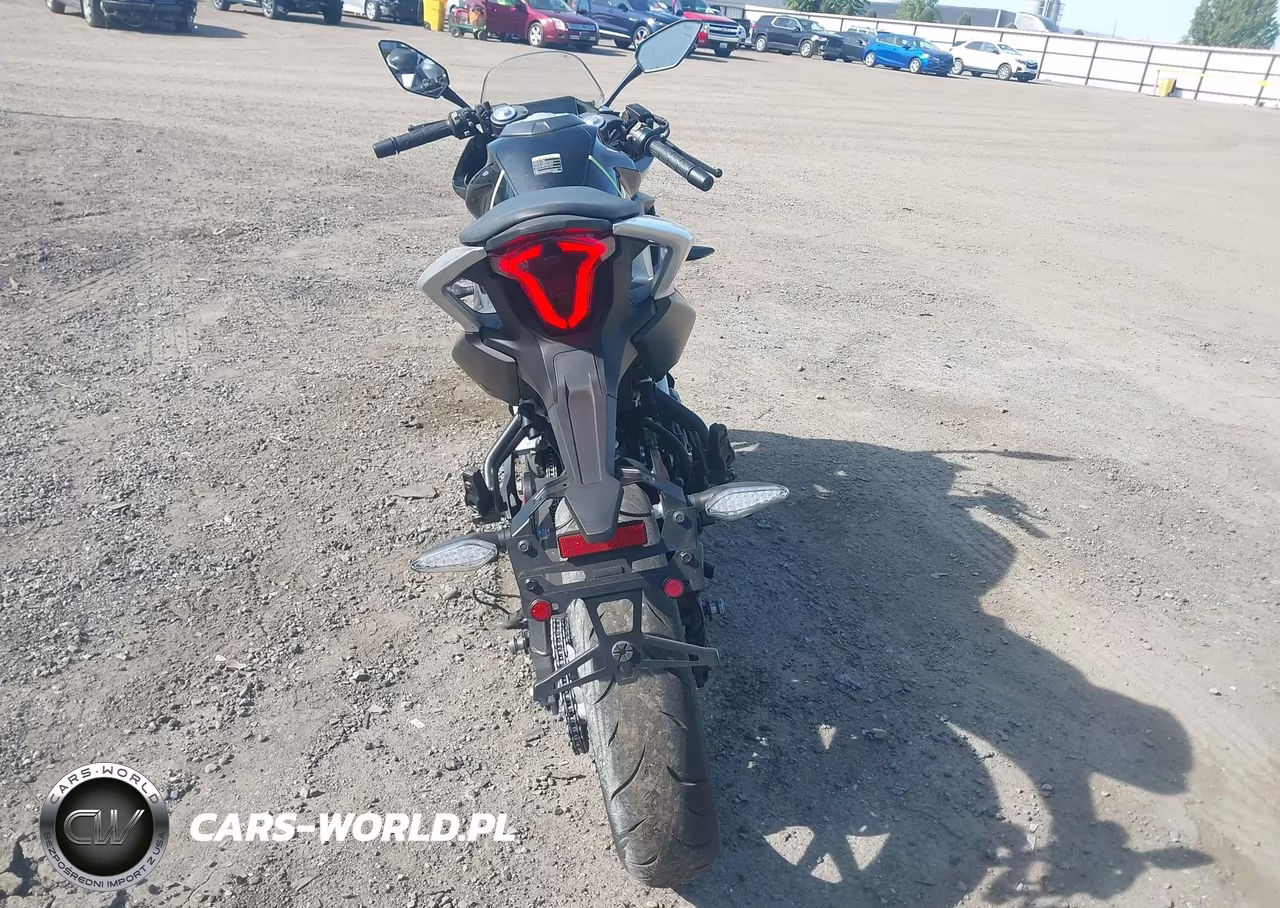 2022 Cf Moto 300Ss VIN:LCEPDPL3XN6000903 - 6