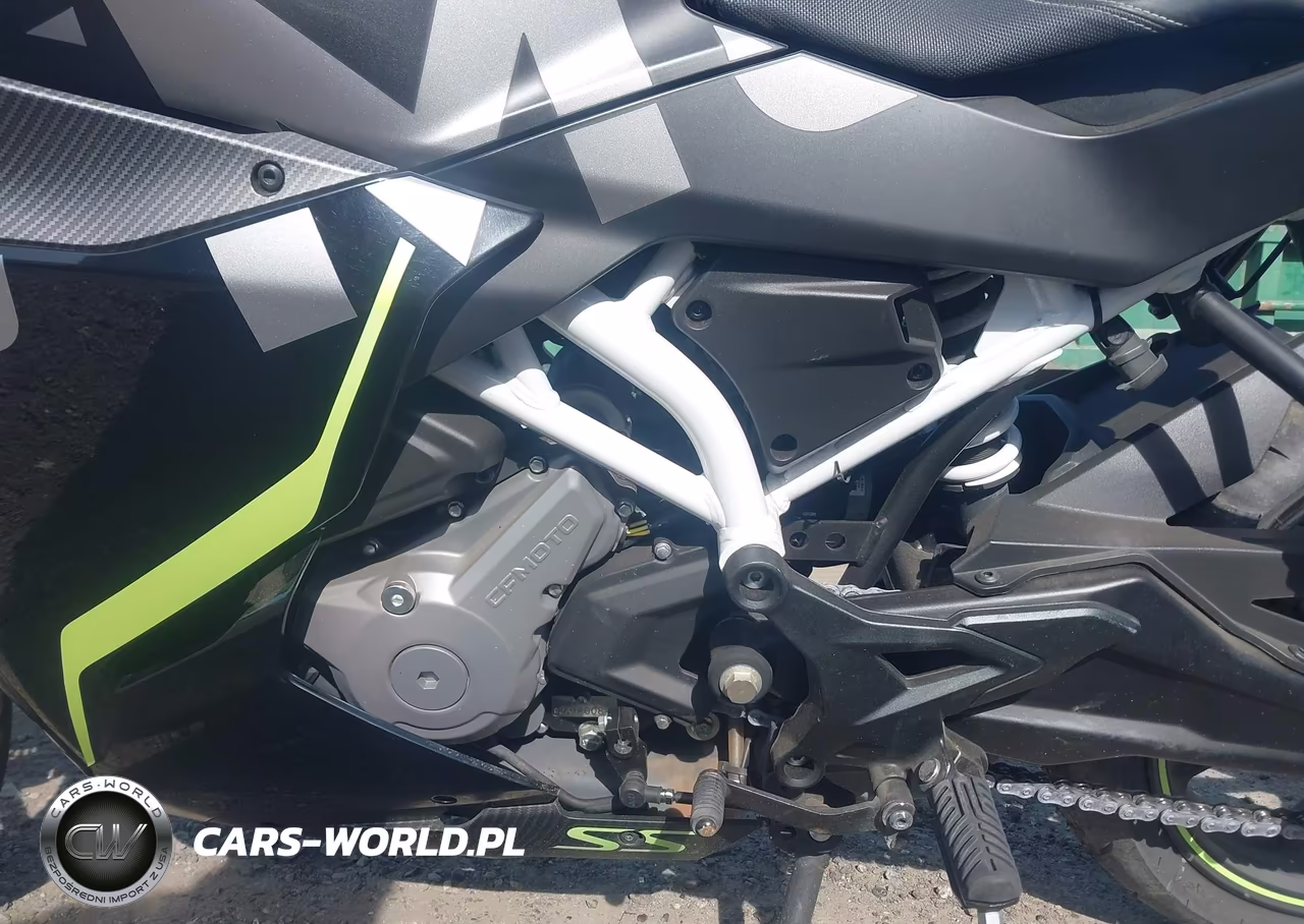 2022 Cf Moto 300Ss VIN:LCEPDPL3XN6000903 - 9