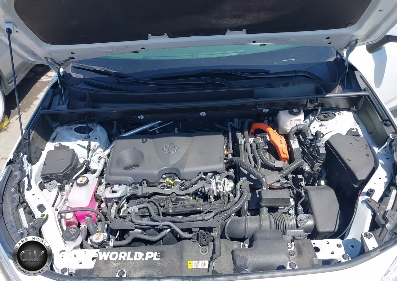 2024 Toyota Rav4 Hybrid Xle Premium VIN:JTMB6RFV3RD560390 - 10
