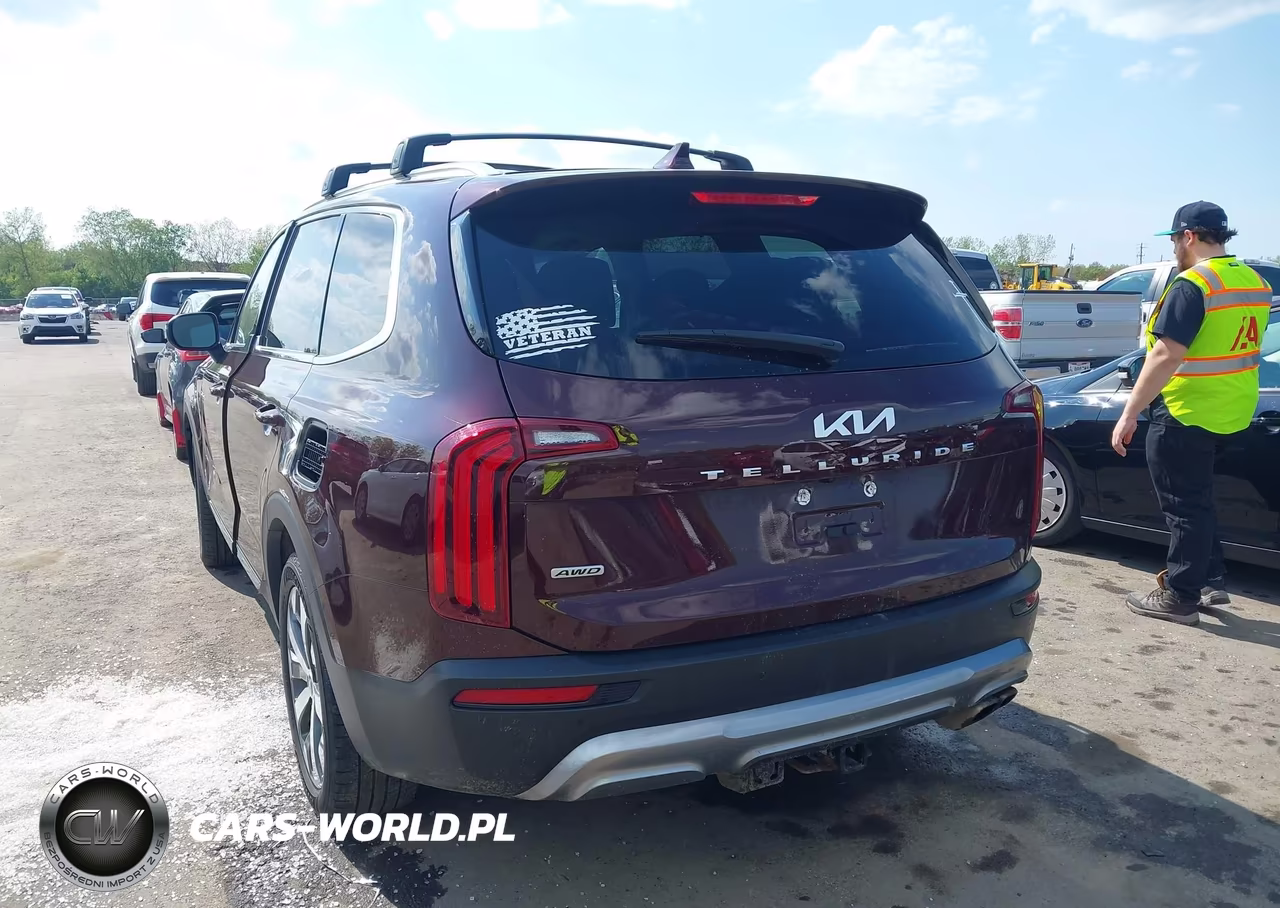 2022 Kia Telluride Ex VIN:5XYP3DHC3NG221153 - 3