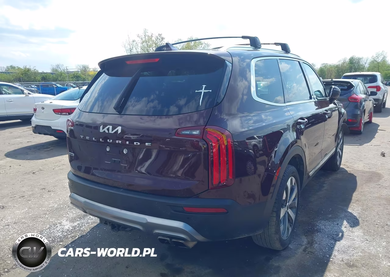 2022 Kia Telluride Ex VIN:5XYP3DHC3NG221153 - 4
