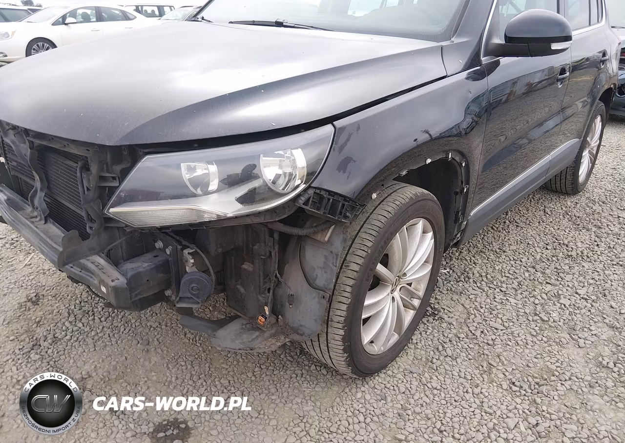 2012 Volkswagen Tiguan Se VIN:WVGBV7AX7CW542188 - 13