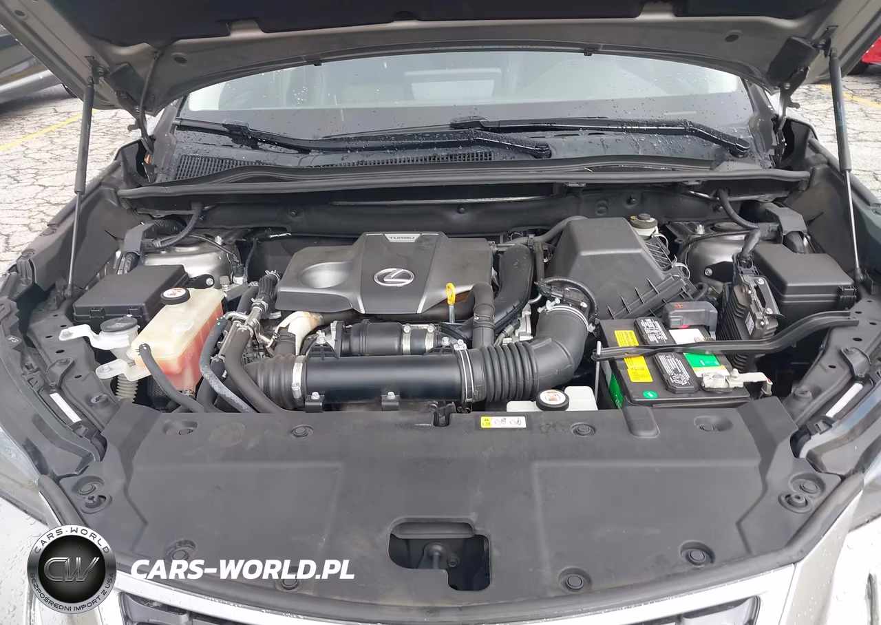 2019 Lexus Nx 300 VIN:JTJYARBZ2K2154312 - 10