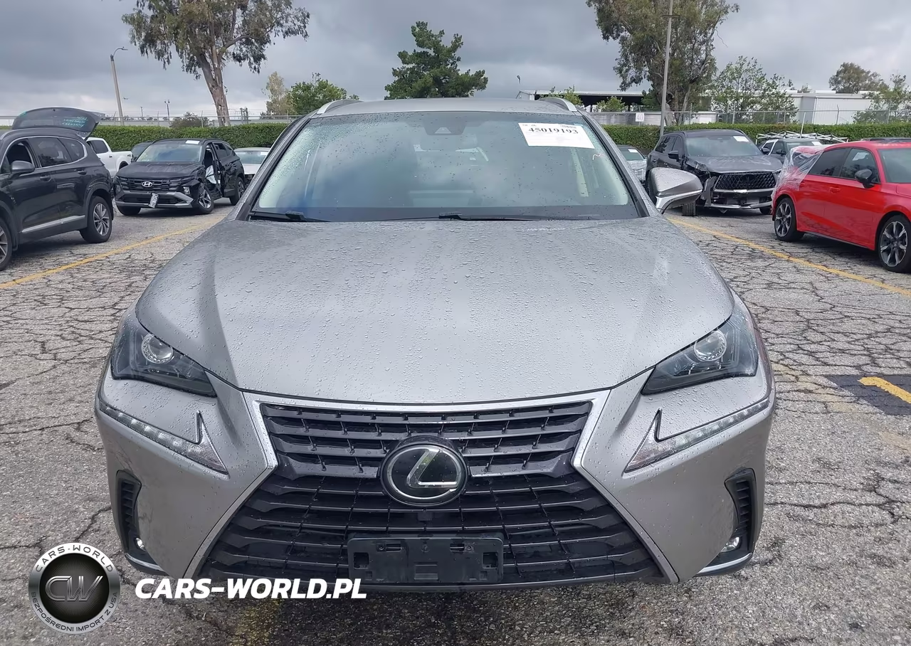2019 Lexus Nx 300 VIN:JTJYARBZ2K2154312 - 12