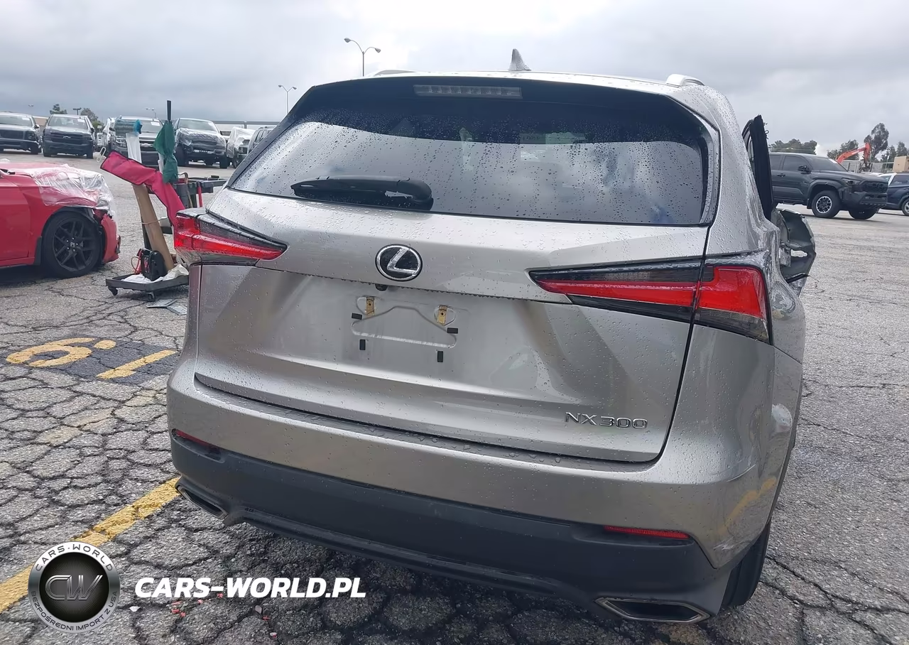 2019 Lexus Nx 300 VIN:JTJYARBZ2K2154312 - 16