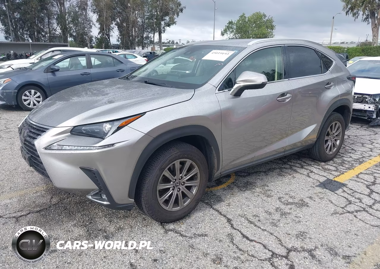 2019 Lexus Nx 300 VIN:JTJYARBZ2K2154312 - 2