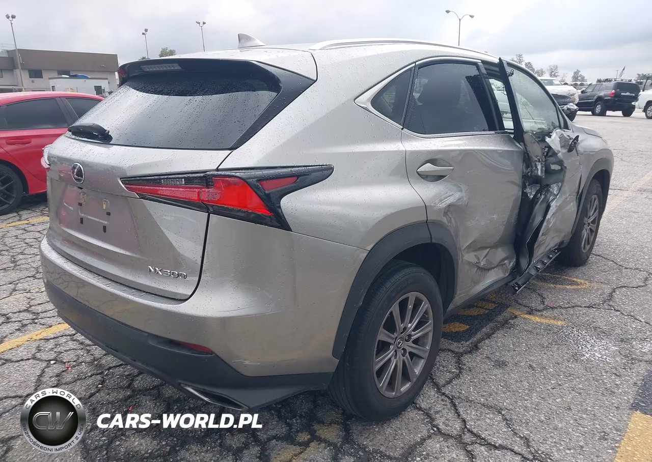 2019 Lexus Nx 300 VIN:JTJYARBZ2K2154312 - 4