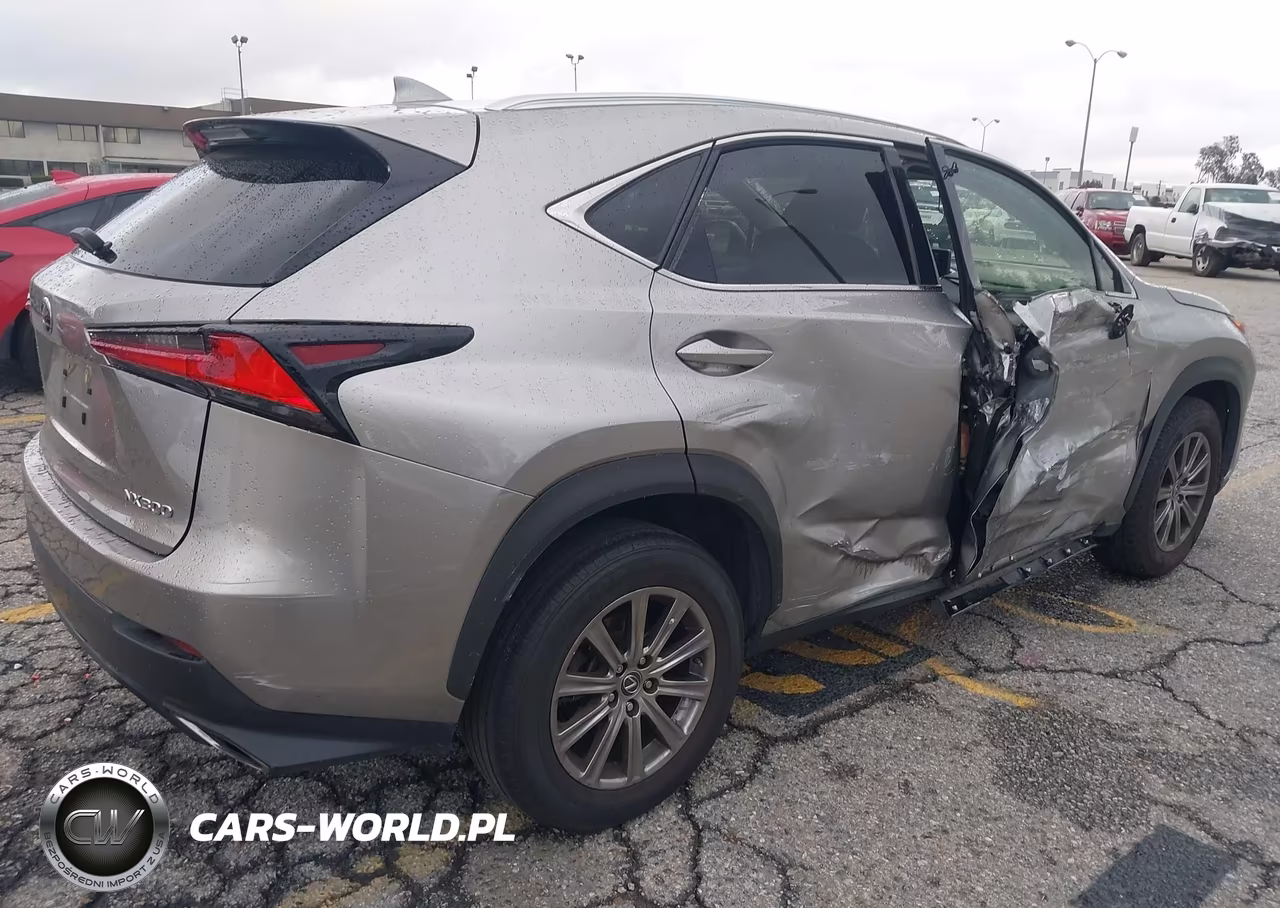 2019 Lexus Nx 300 VIN:JTJYARBZ2K2154312 - 6