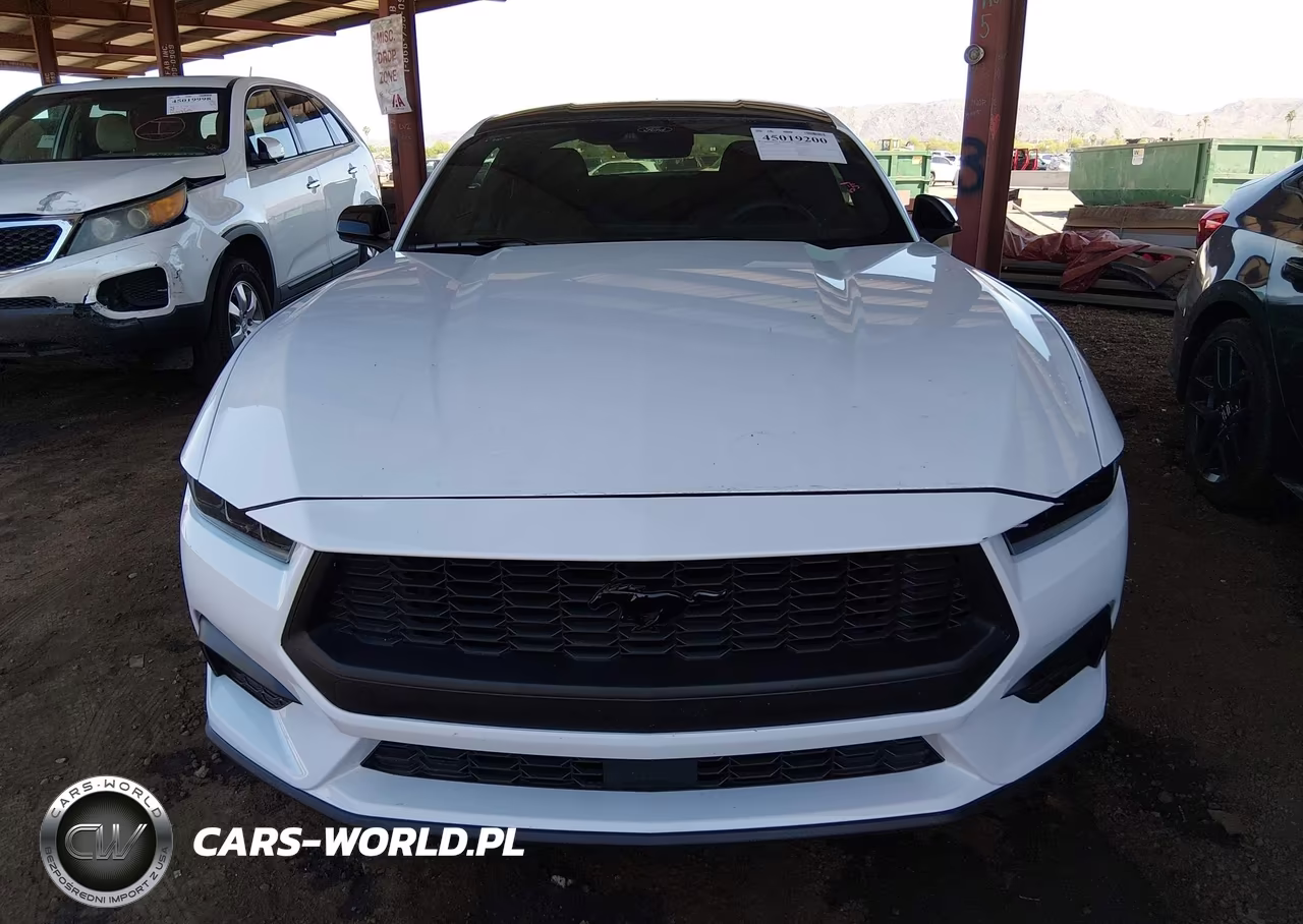2024 Ford Mustang Ecoboost Fastback VIN:1FA6P8TH7R5131793 - 12