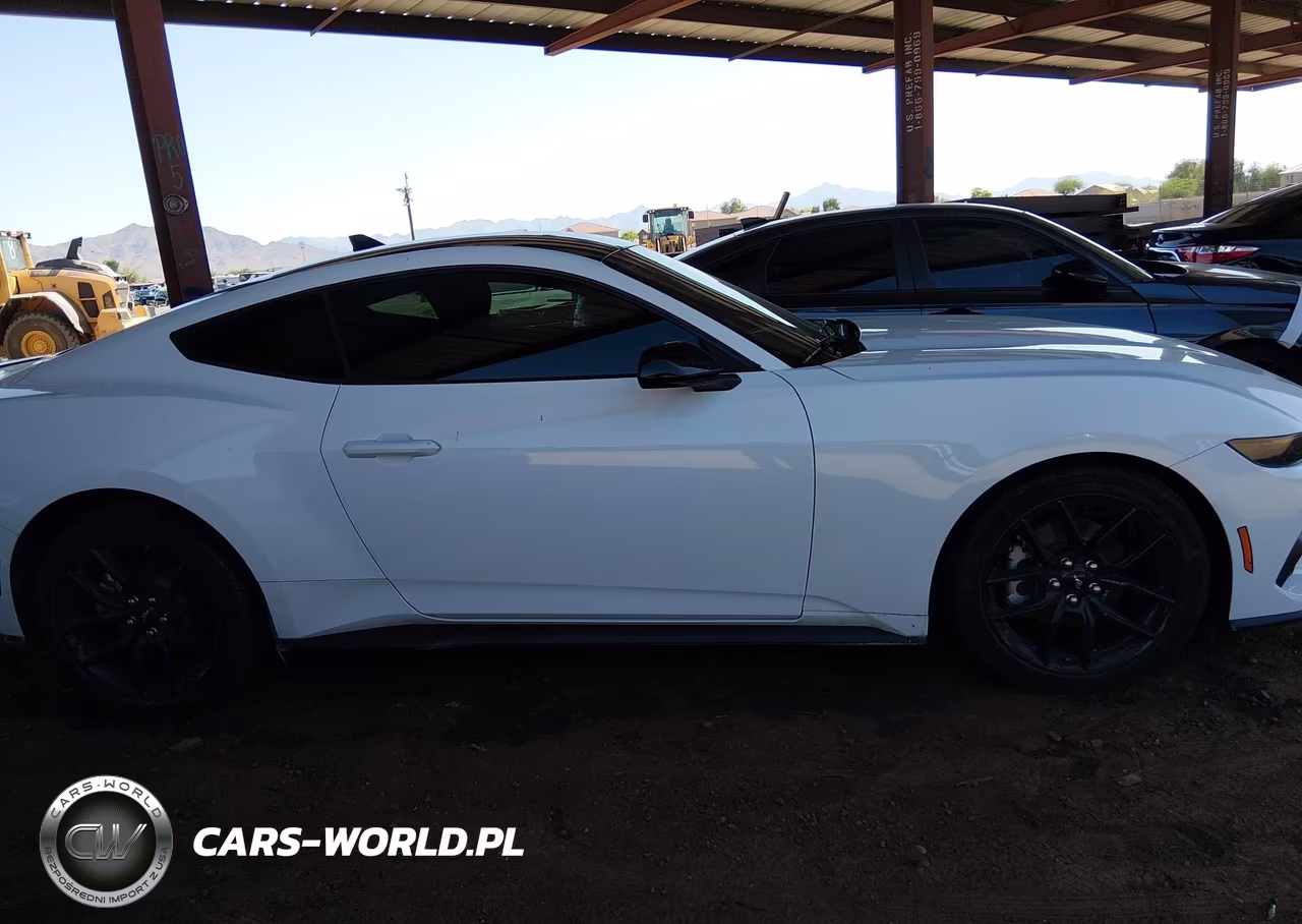 2024 Ford Mustang Ecoboost Fastback VIN:1FA6P8TH7R5131793 - 13