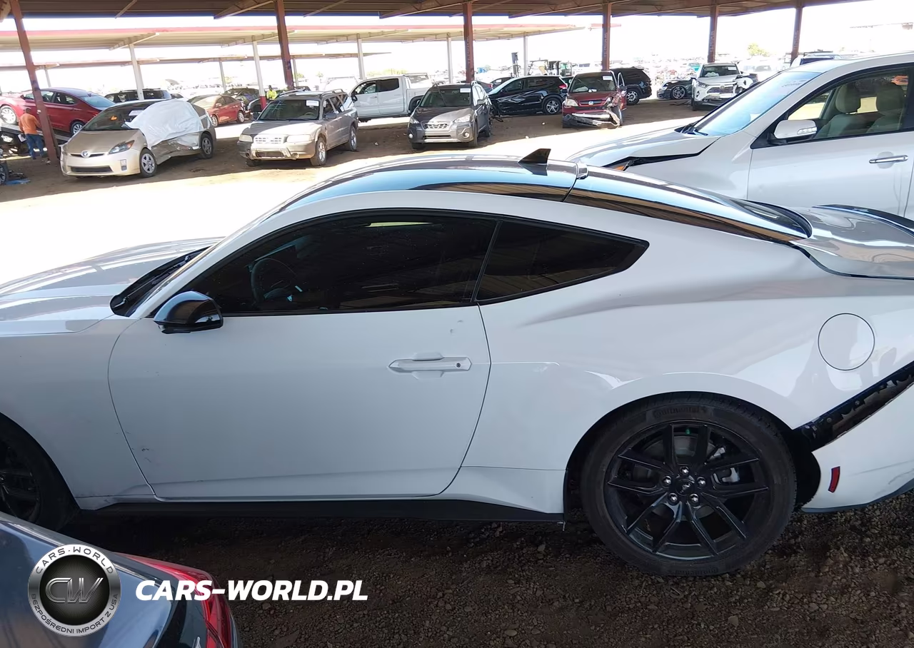 2024 Ford Mustang Ecoboost Fastback VIN:1FA6P8TH7R5131793 - 14