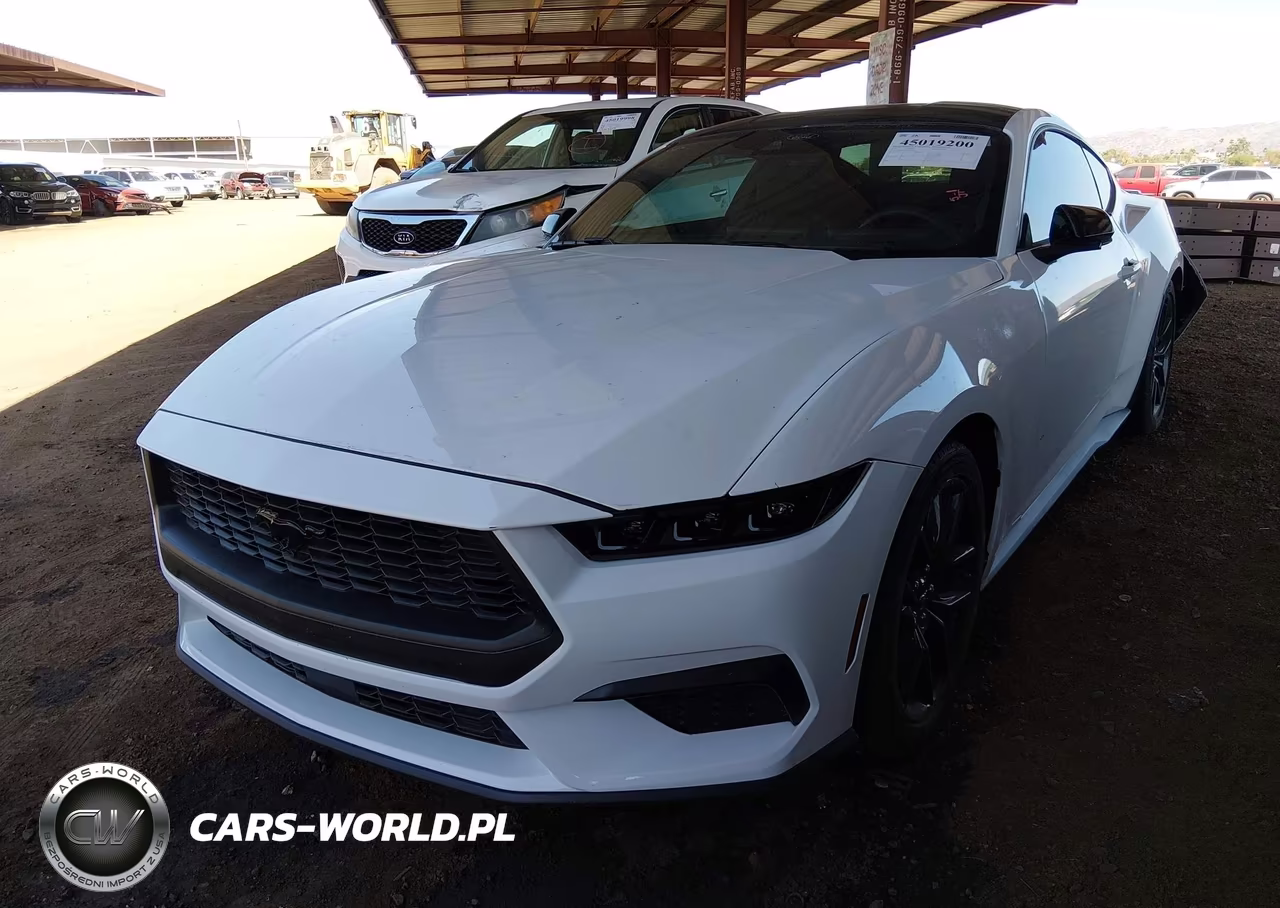 2024 Ford Mustang Ecoboost Fastback VIN:1FA6P8TH7R5131793 - 2