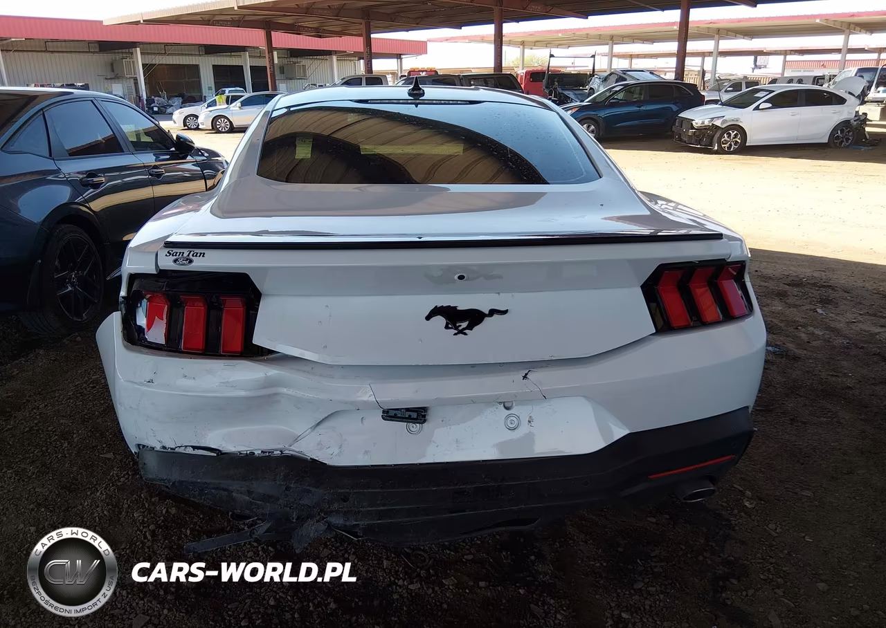 2024 Ford Mustang Ecoboost Fastback VIN:1FA6P8TH7R5131793 - 6