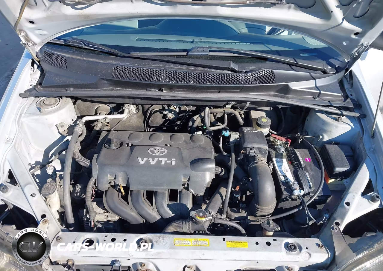 2002 Toyota Echo VIN:JTDBT123320221513 - 10