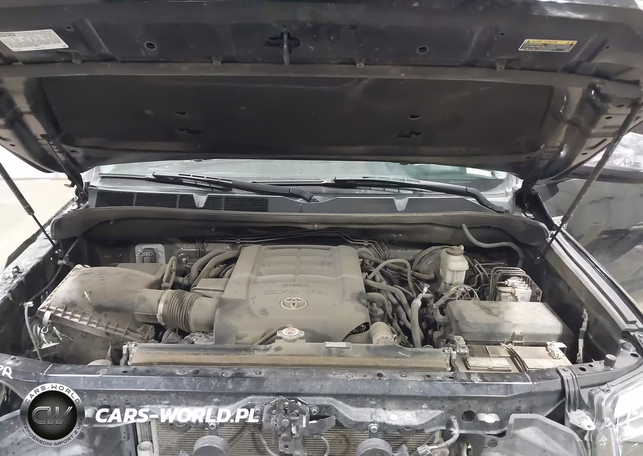 2020 Toyota Tundra Platinum VIN:5TFAY5F11LX893589 - 10