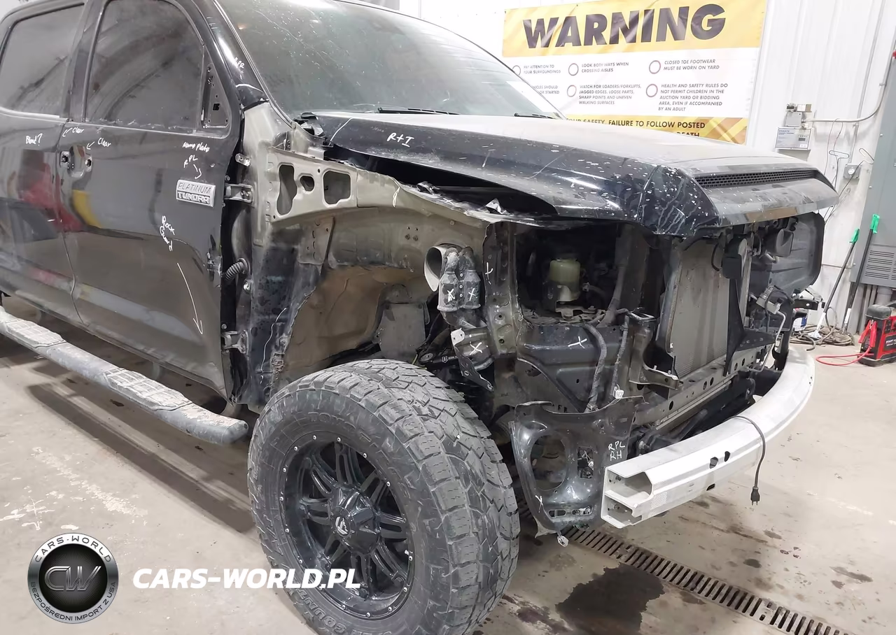 2020 Toyota Tundra Platinum VIN:5TFAY5F11LX893589 - 6
