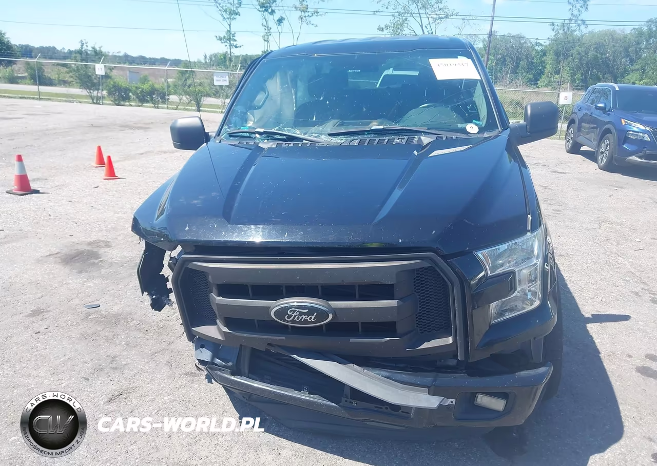 2016 Ford F-150 Xl VIN:1FTEW1CPXGFD50083 - 12