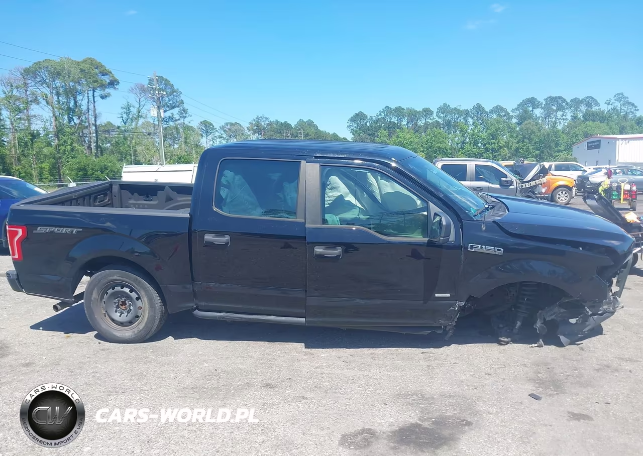 2016 Ford F-150 Xl VIN:1FTEW1CPXGFD50083 - 13