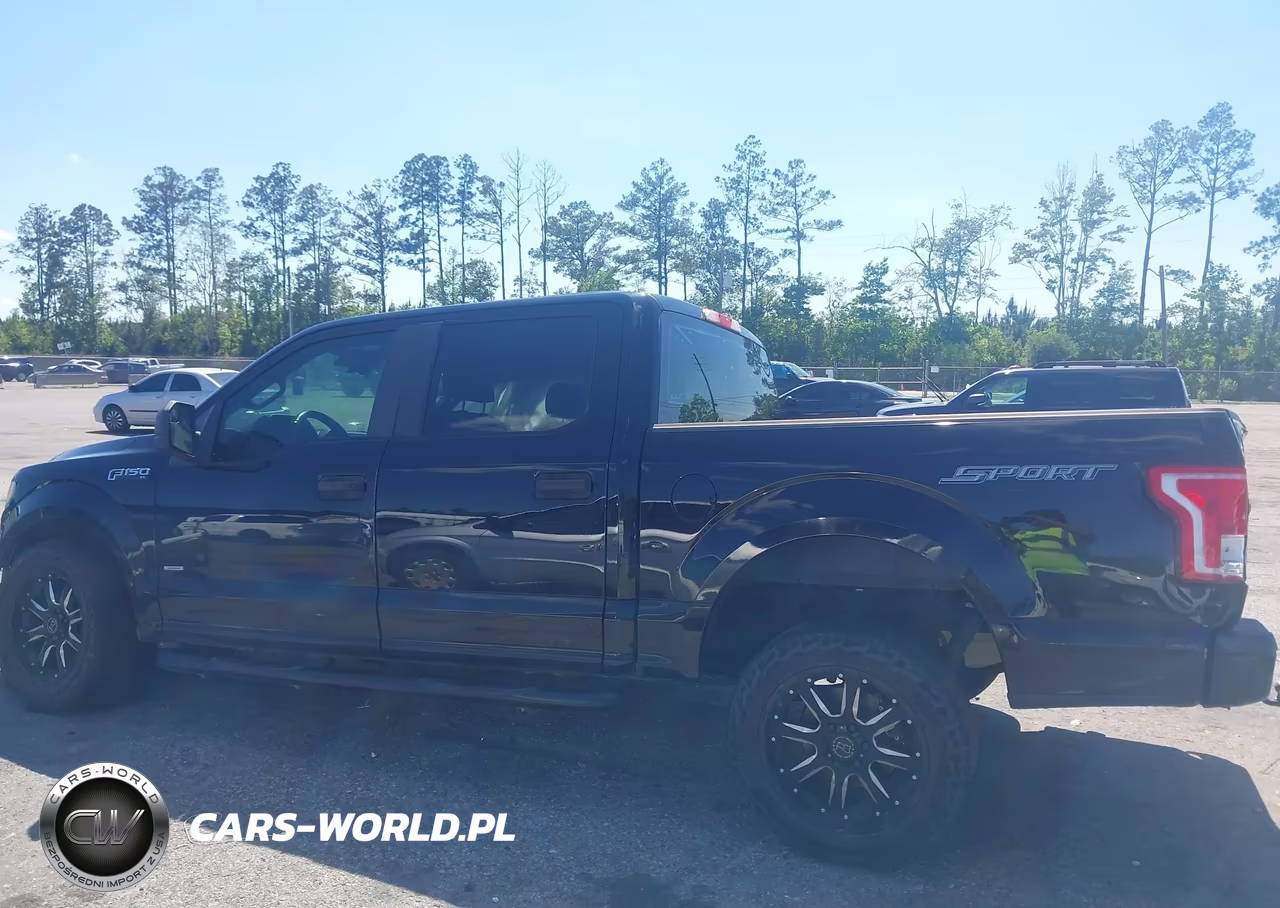 2016 Ford F-150 Xl VIN:1FTEW1CPXGFD50083 - 14