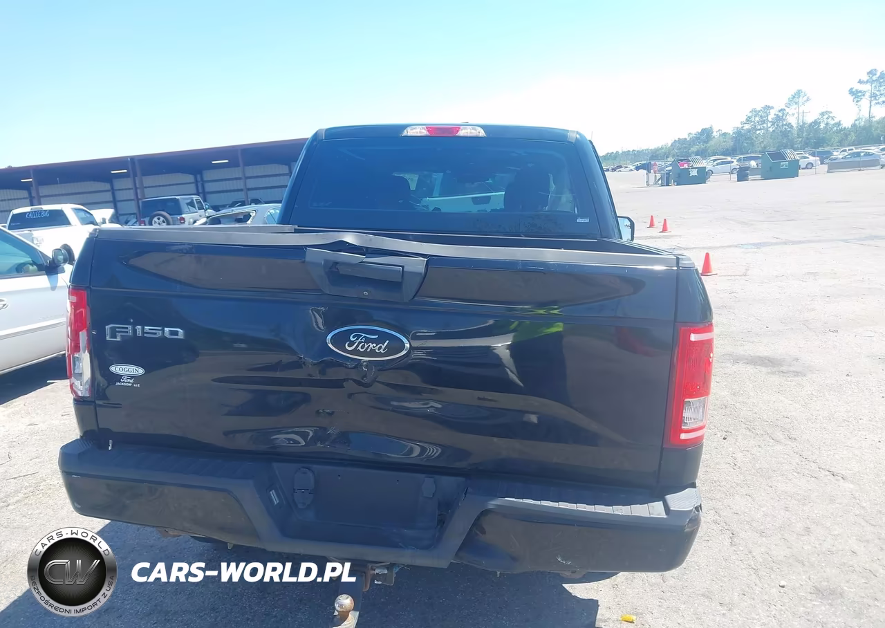 2016 Ford F-150 Xl VIN:1FTEW1CPXGFD50083 - 16