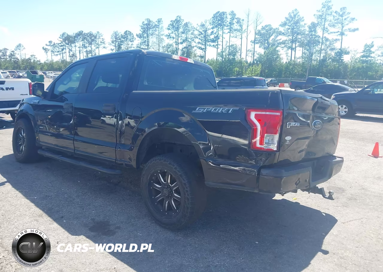 2016 Ford F-150 Xl VIN:1FTEW1CPXGFD50083 - 3