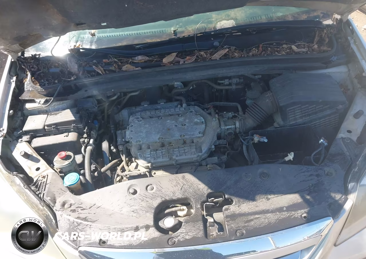2005 Honda Odyssey Ex-L VIN:5FNRL38655B411797 - 10