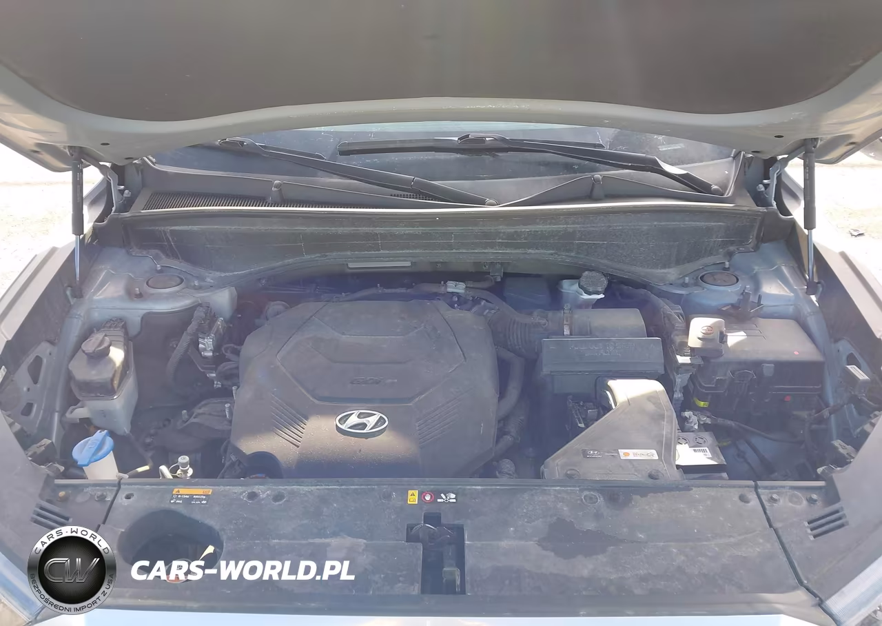 2020 Hyundai Palisade Sel VIN:KM8R2DHE2LU152122 - 10