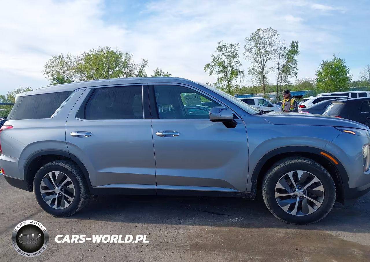 2020 Hyundai Palisade Sel VIN:KM8R2DHE2LU152122 - 13