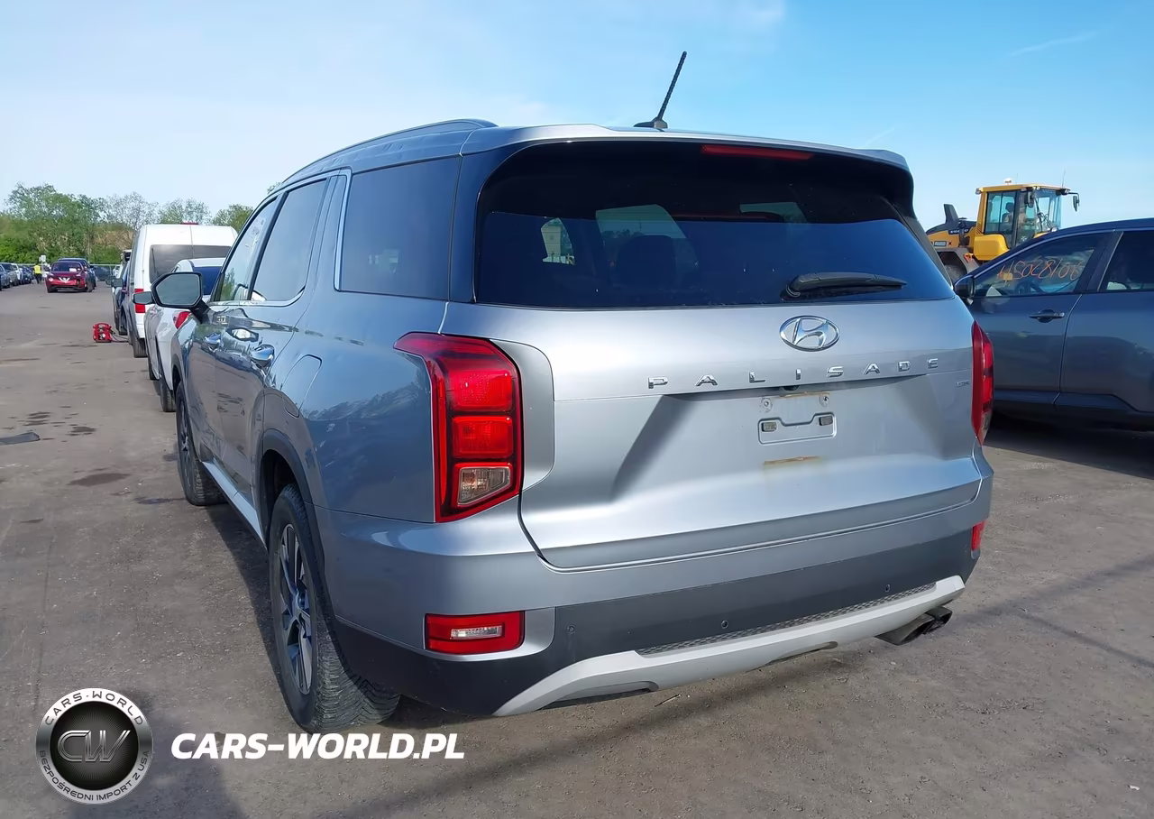 2020 Hyundai Palisade Sel VIN:KM8R2DHE2LU152122 - 3