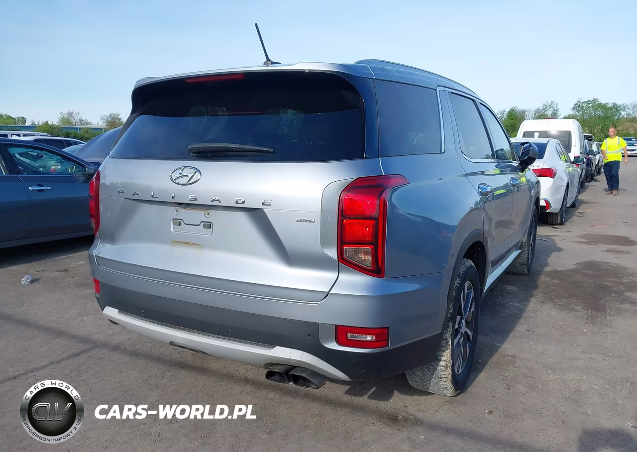 2020 Hyundai Palisade Sel VIN:KM8R2DHE2LU152122 - 4