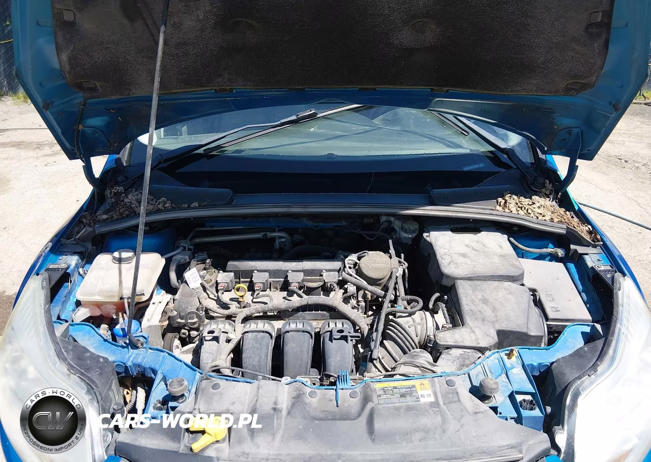 2013 Ford Focus Se VIN:1FADP3F23DL123762 - 10