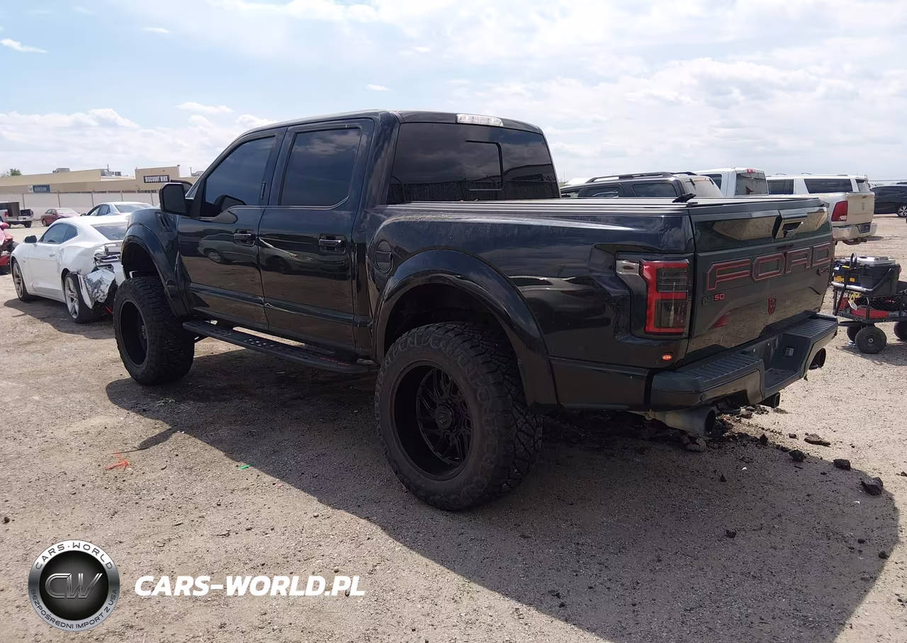 2020 Ford F150 Raptor VIN:1FTFW1RG8LFB33511 - 3