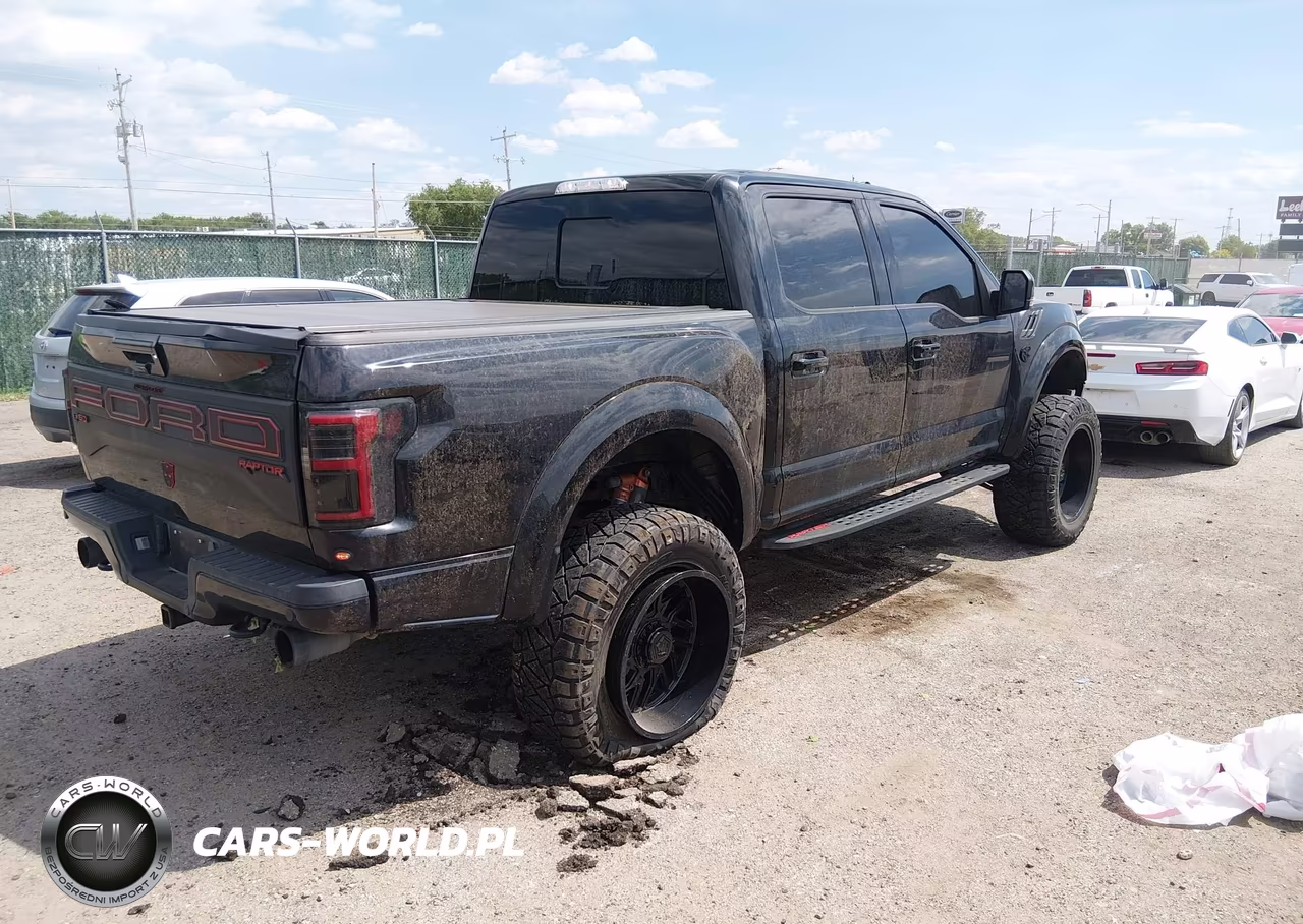 2020 Ford F150 Raptor VIN:1FTFW1RG8LFB33511 - 4