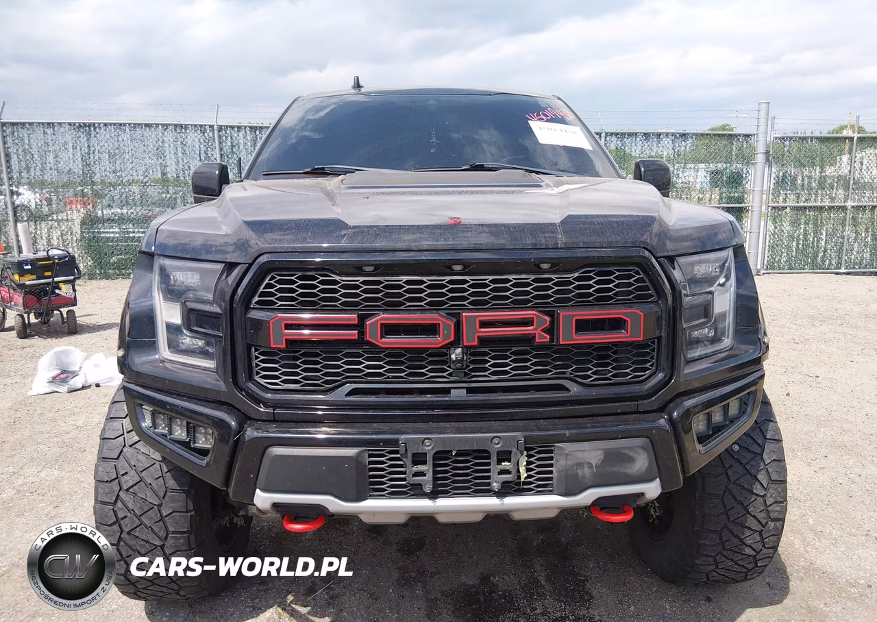 2020 Ford F150 Raptor VIN:1FTFW1RG8LFB33511 - 6