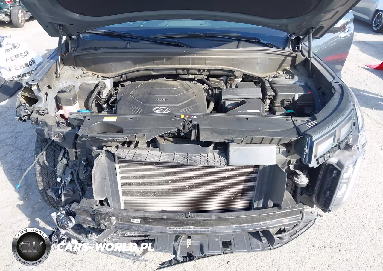 2023 Hyundai Palisade Sel VIN:KM8R44GE7PU494571 - 10
