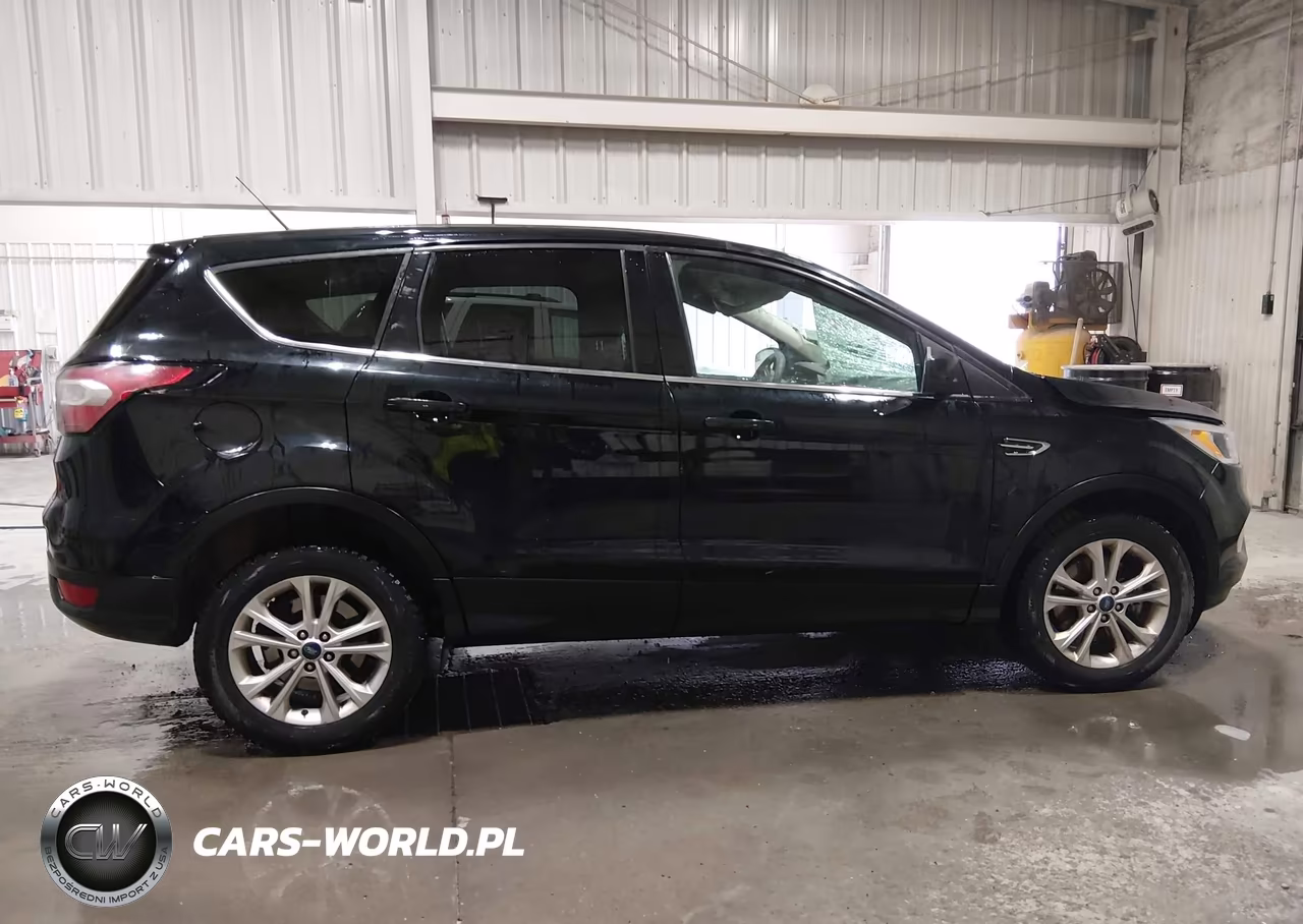 2017 Ford Escape Se VIN:1FMCU9G96HUD43387 - 13