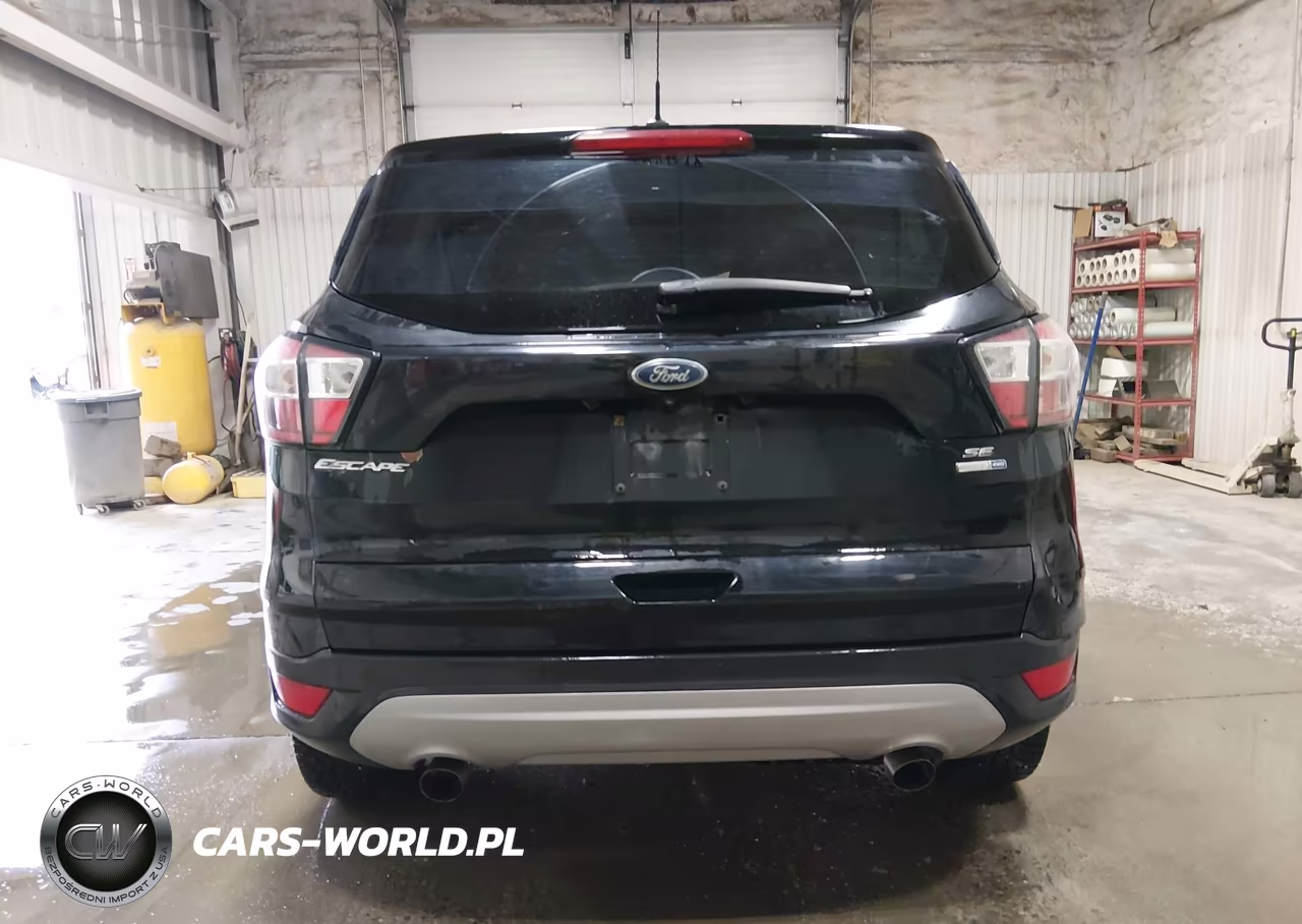 2017 Ford Escape Se VIN:1FMCU9G96HUD43387 - 16