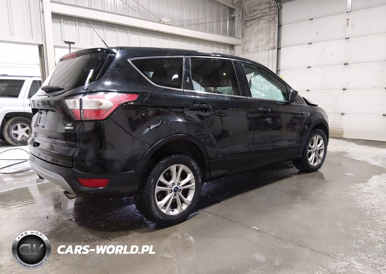 2017 Ford Escape Se VIN:1FMCU9G96HUD43387 - 4