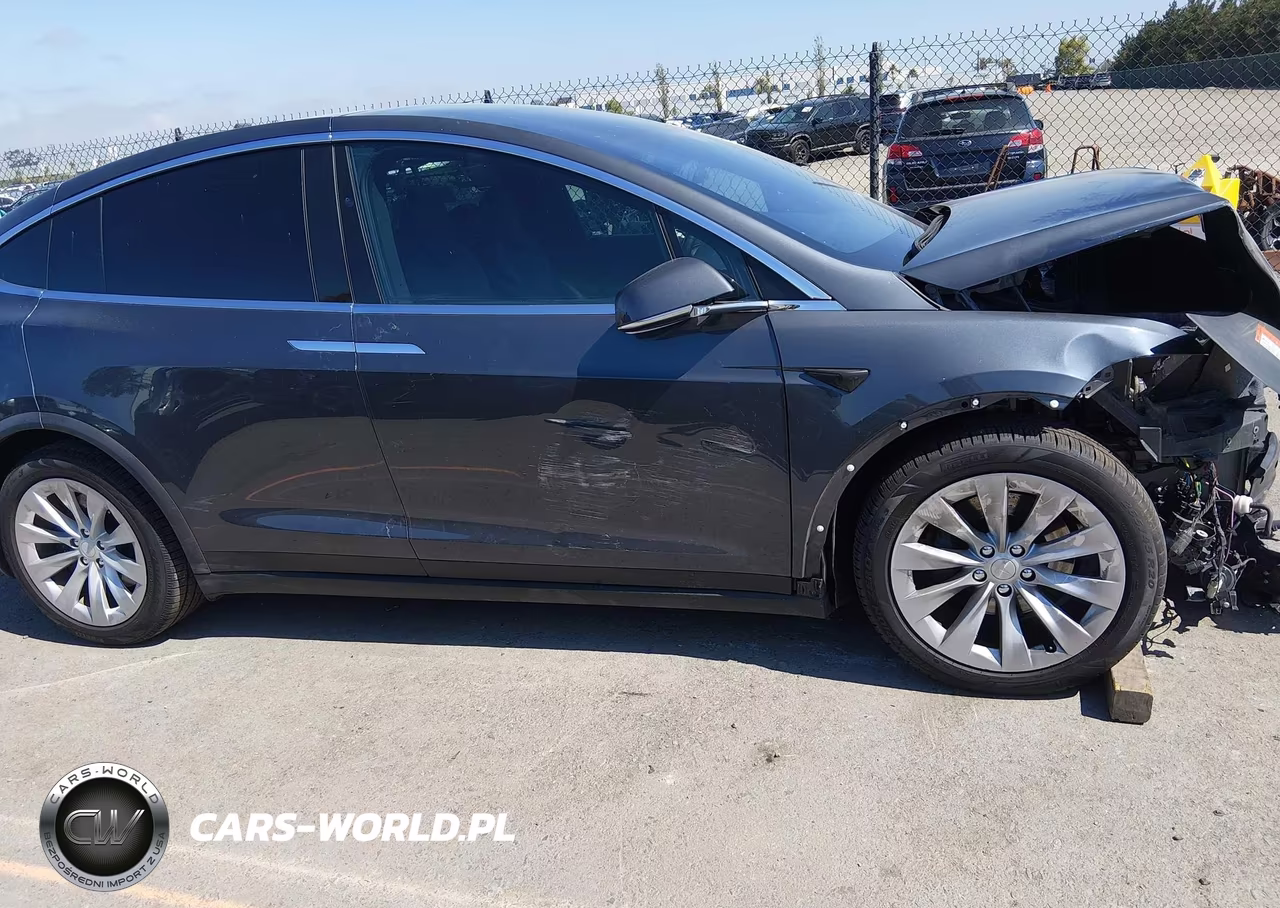 2018 Tesla Model X 100D-75D-P100D VIN:5YJXCAE25JF105108 - 20