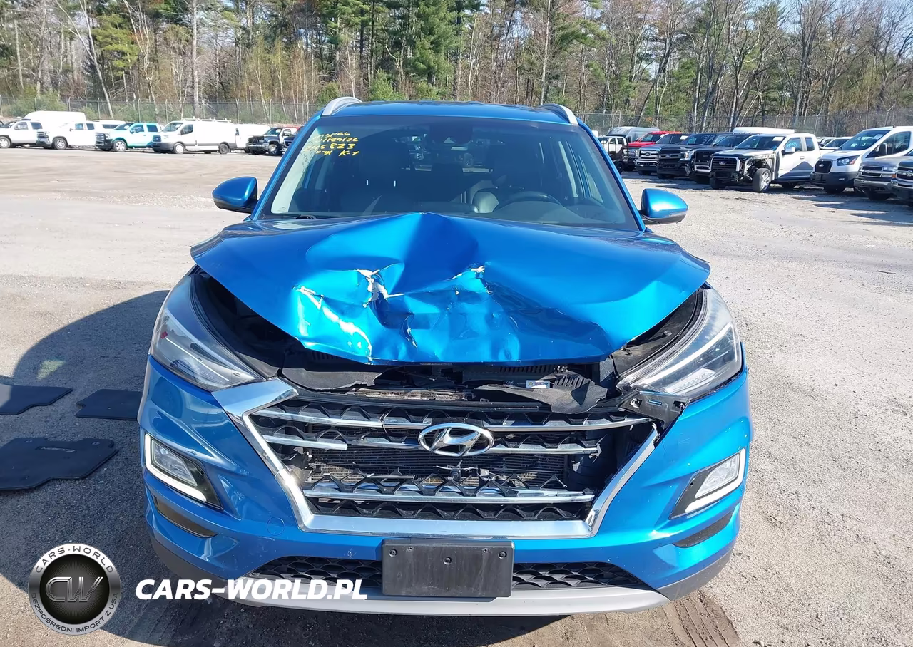 2019 Hyundai Tucson Limited VIN:KM8J3CAL8KU972829 - 6