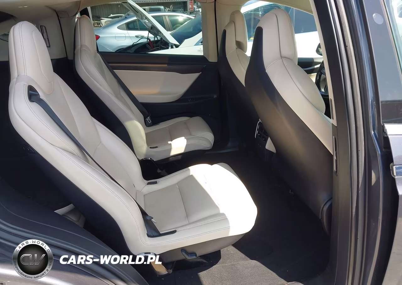 2018 Tesla Model X 100D-75D-P100D VIN:5YJXCBE24JF136002 - 8