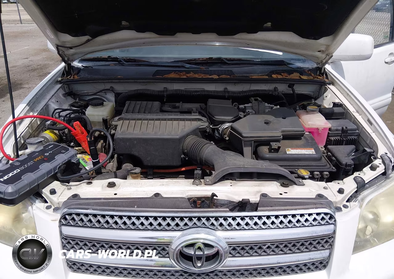 2006 Toyota Highlander Hybrid V6 VIN:JTEDW21AX60009697 - 10
