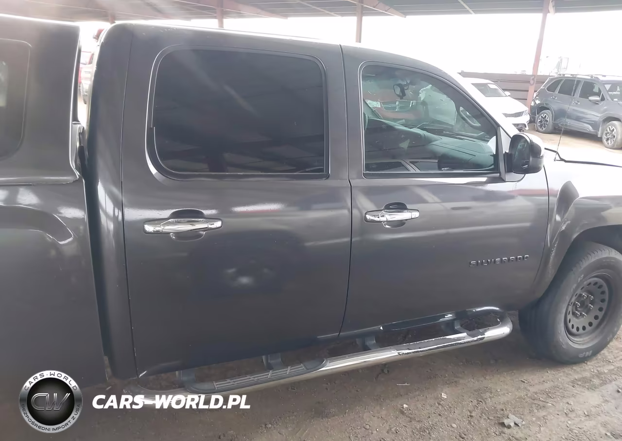 2010 Chevrolet Silverado 1500 Lt VIN:3GCRCSEA3AG234657 - 14