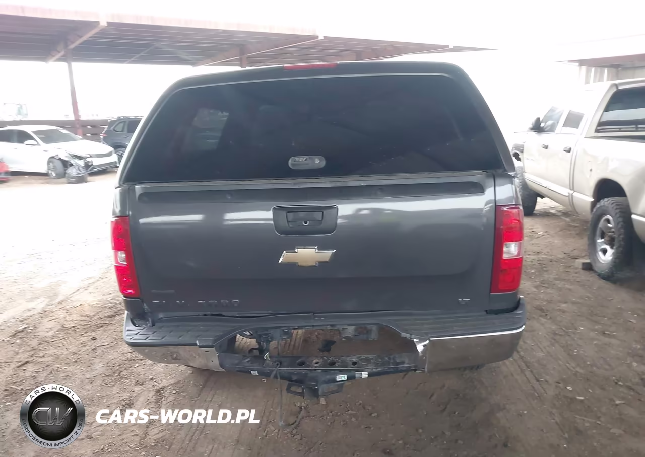 2010 Chevrolet Silverado 1500 Lt VIN:3GCRCSEA3AG234657 - 17