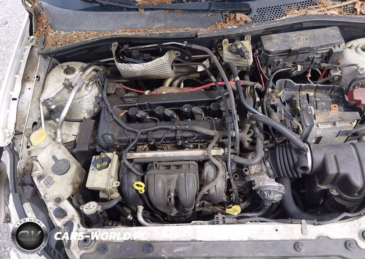 2009 Ford Focus Se VIN:1FAHP35N99W153593 - 10