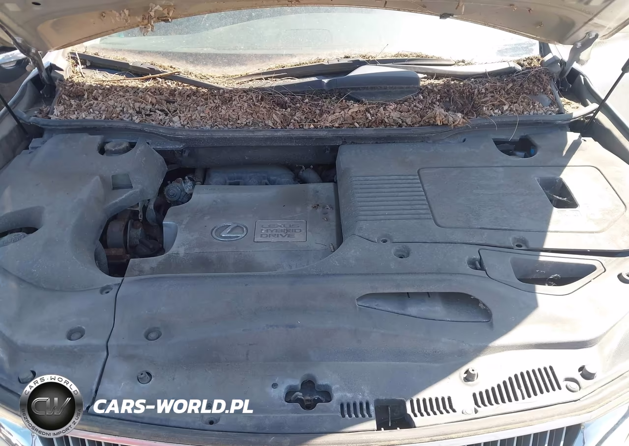 2010 Lexus Rx 450H VIN:JTJZB1BA3A2001482 - 10