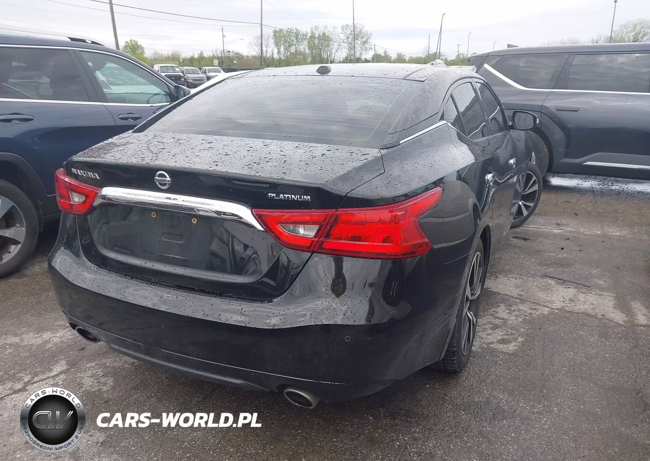 2017 Nissan Maxima 3.5 Platinum VIN:1N4AA6AP6HC457184 - 4